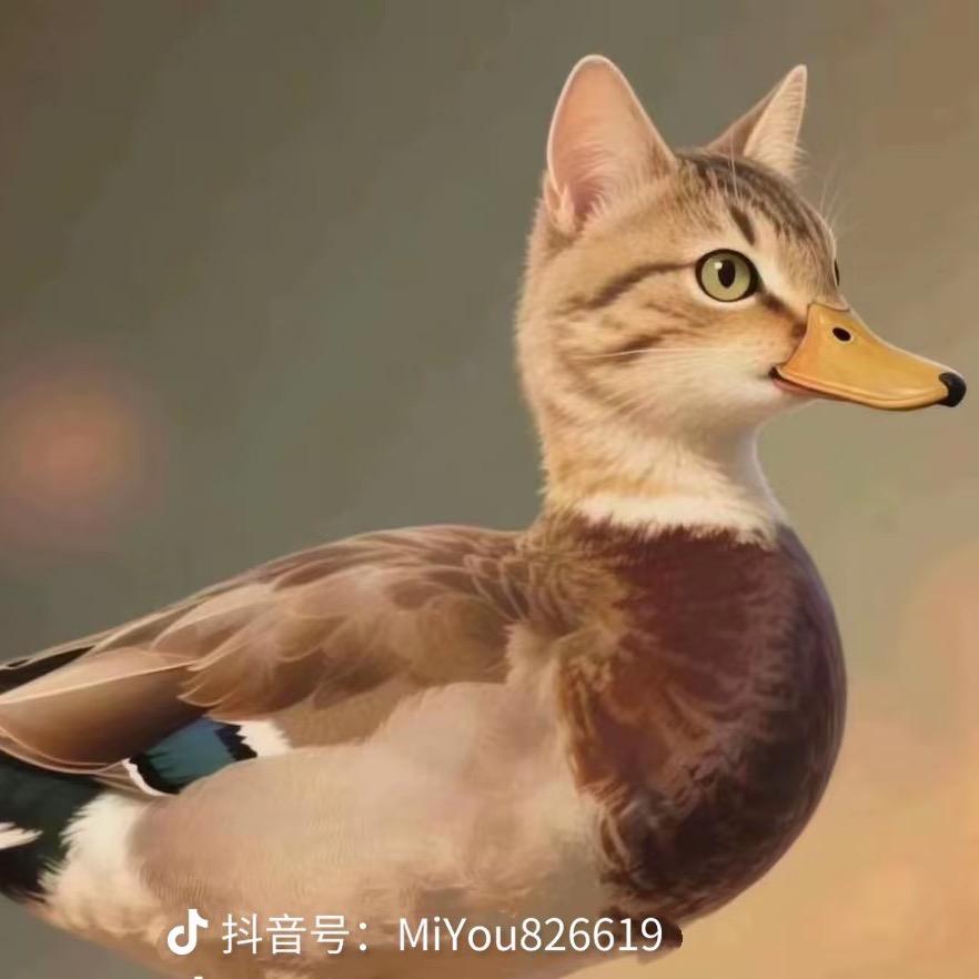 带投大哥