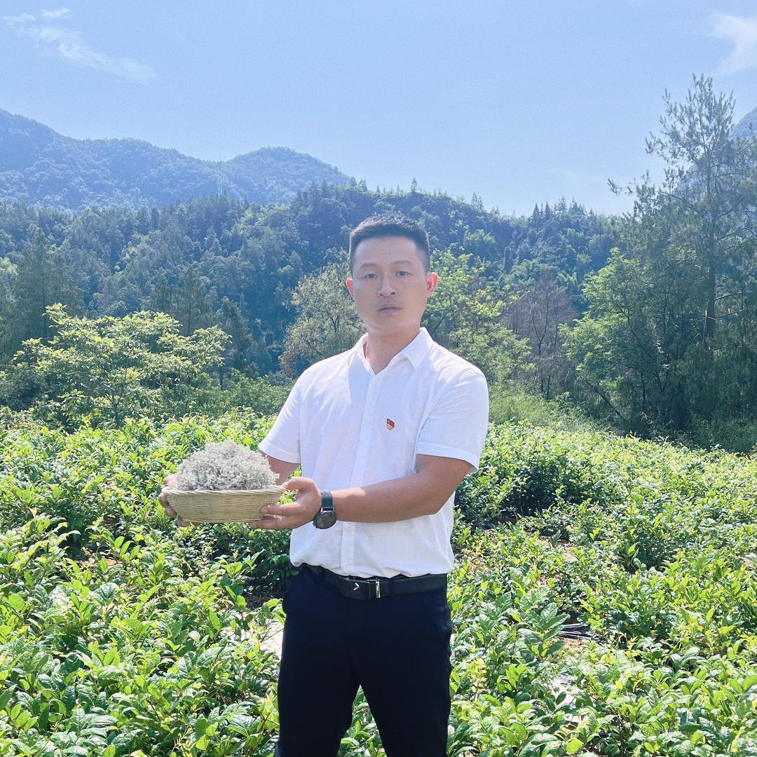 来凤藤茶村支书（许海波）