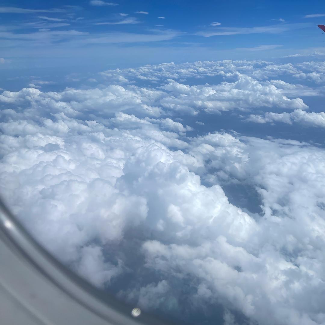从此我等凤等雨不等你