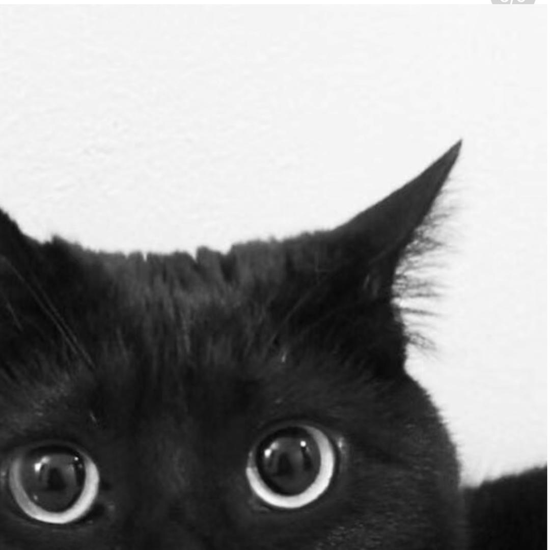 Want