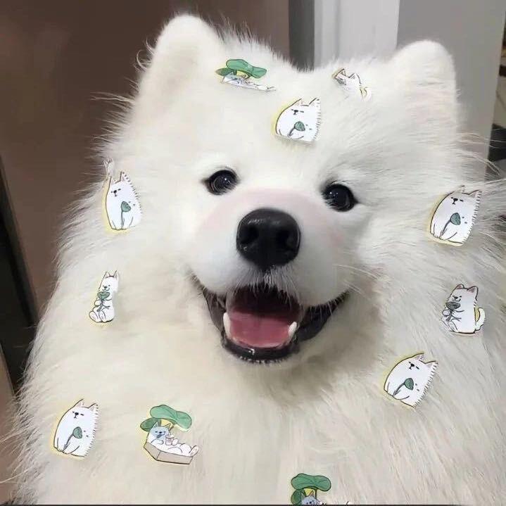 形形