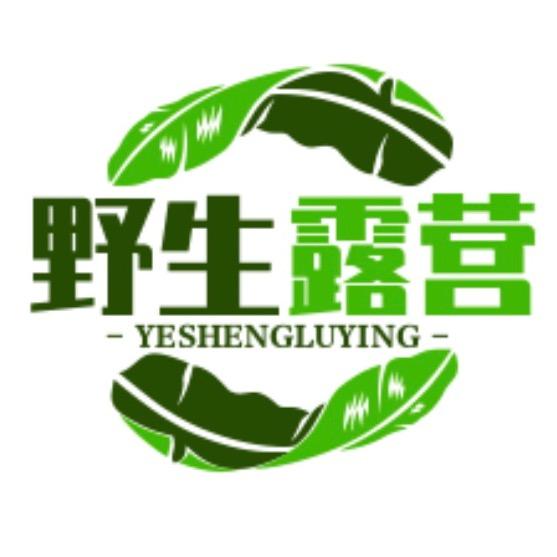 野生露营