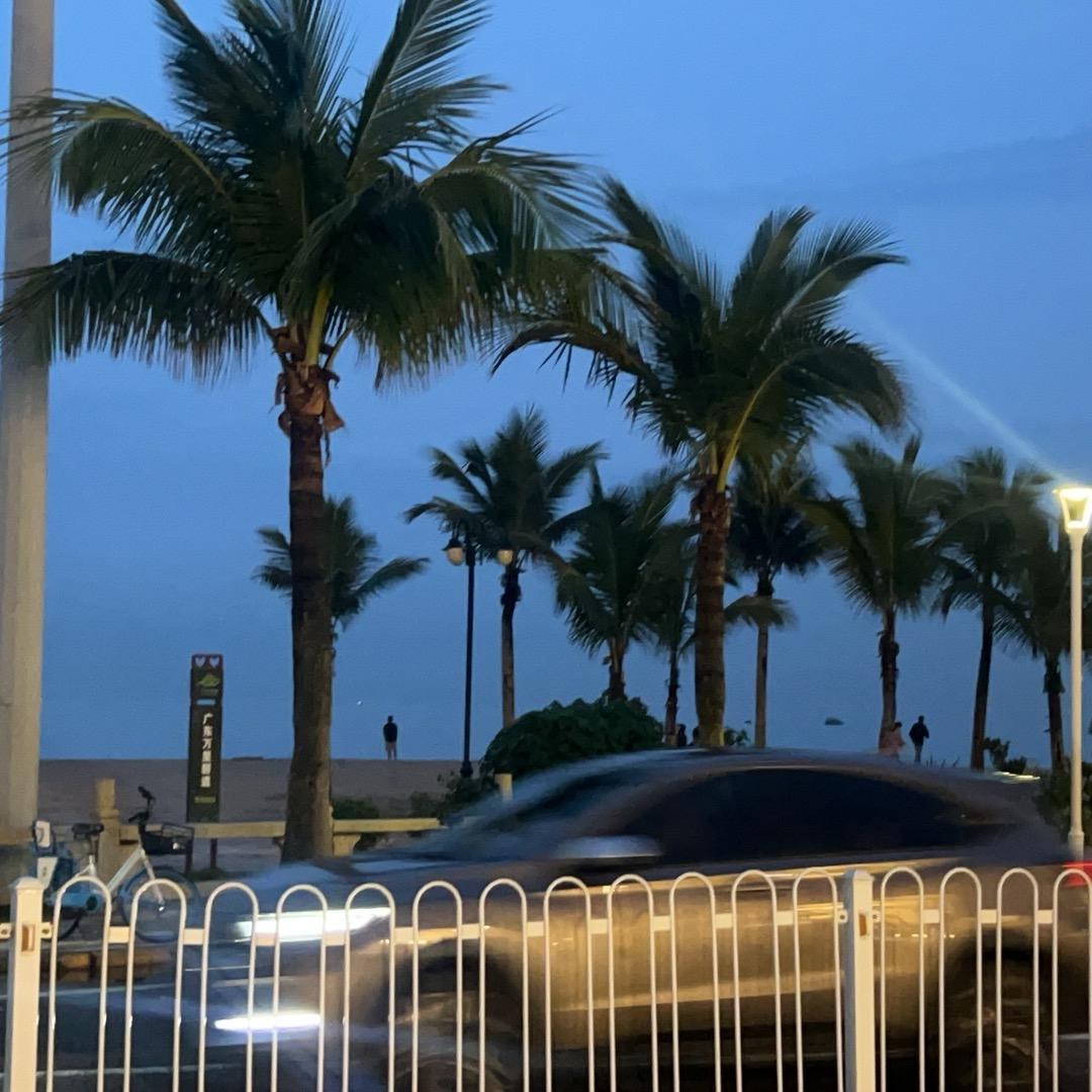 星光不问追梦人