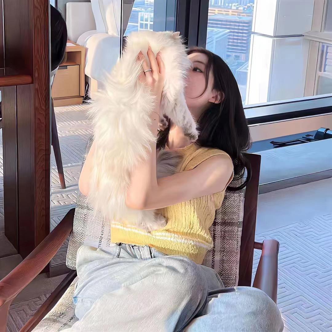 悲伤的小狗