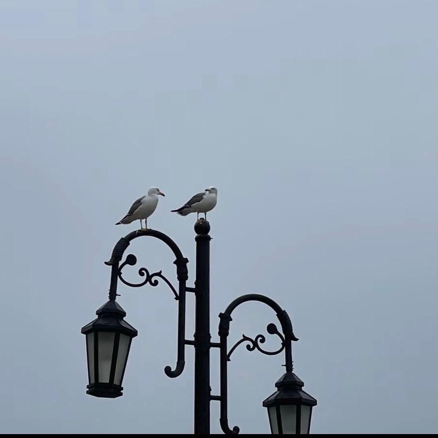 林州市金武国术