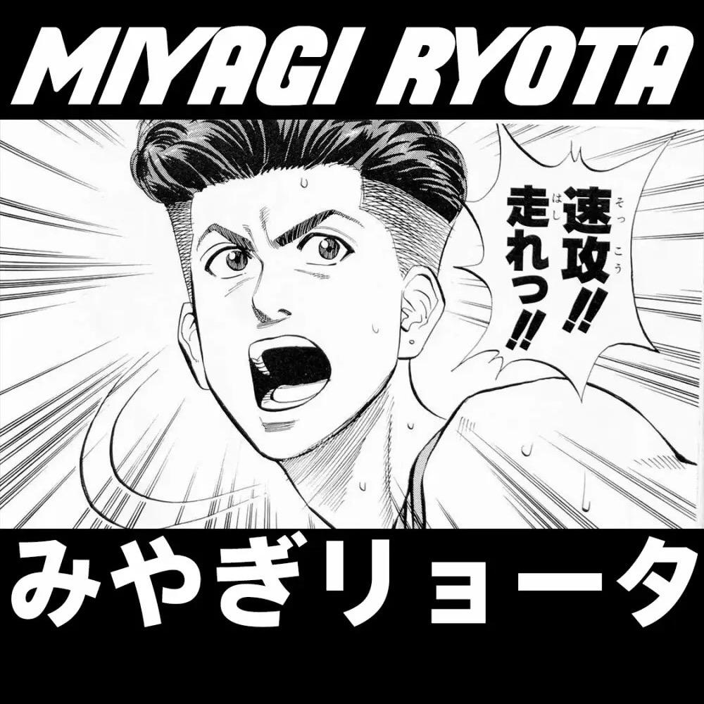 飒猫儿