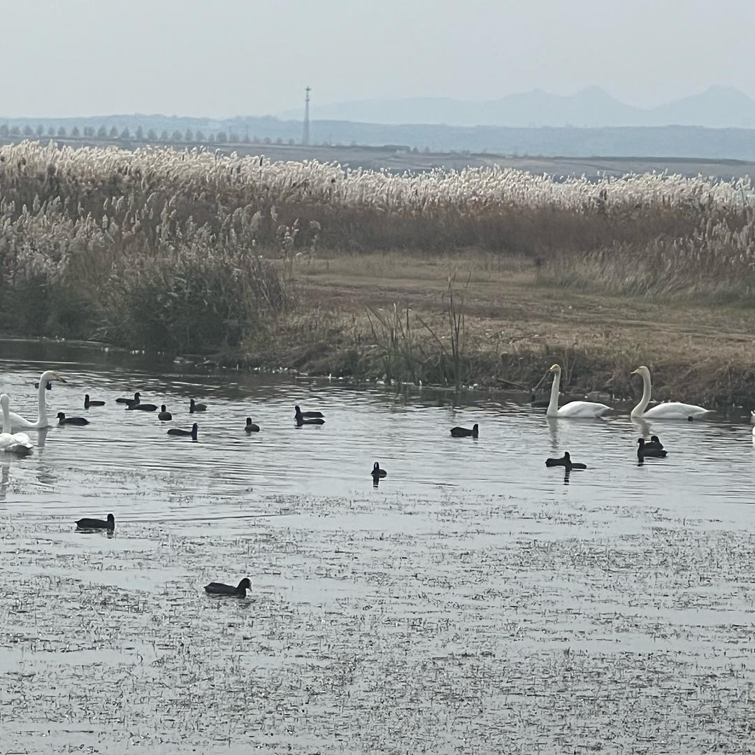 小陌。