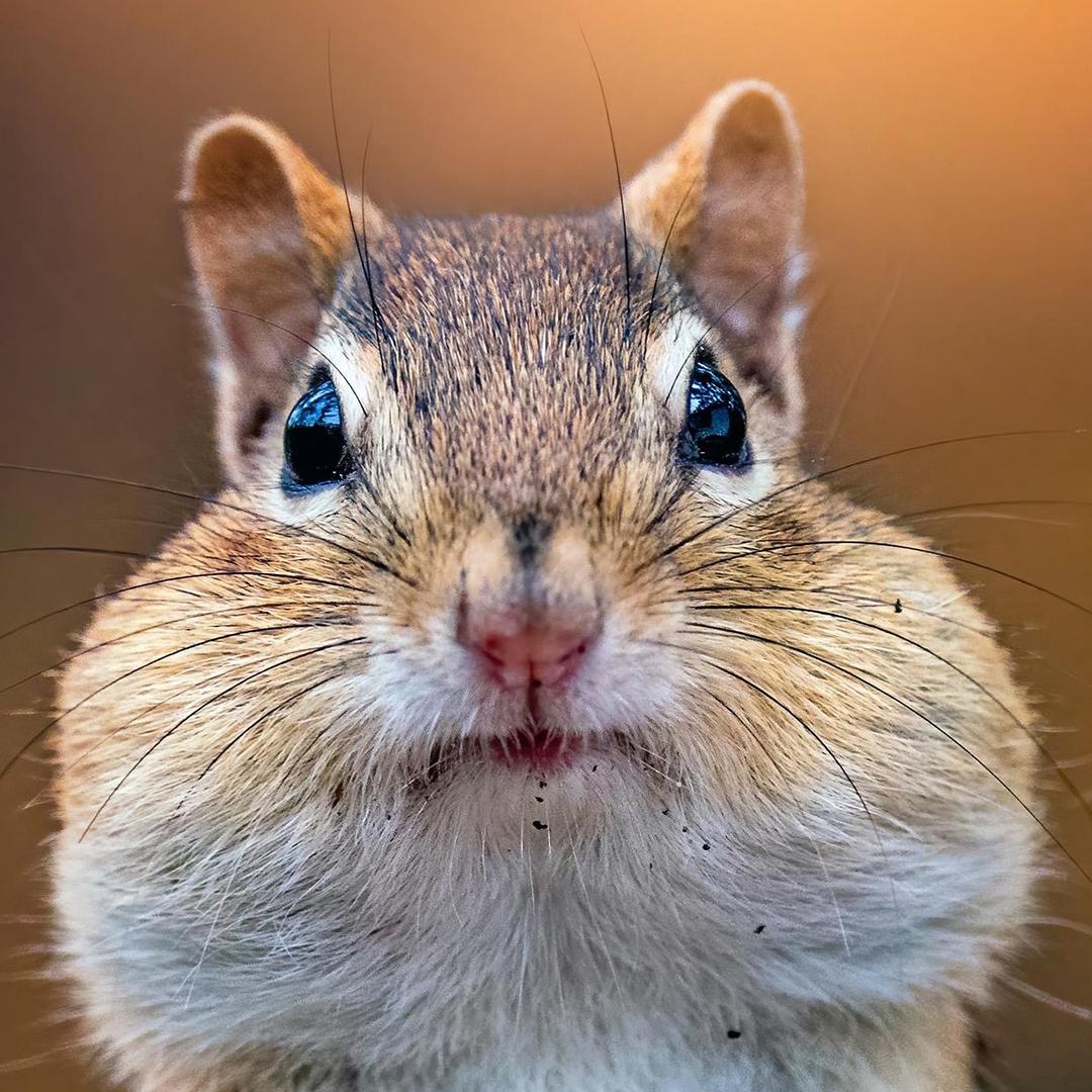 I⫍ ⃢⃢👁 ܫ 👁⃢ ⫎I