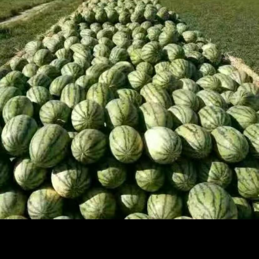 库尔班果业