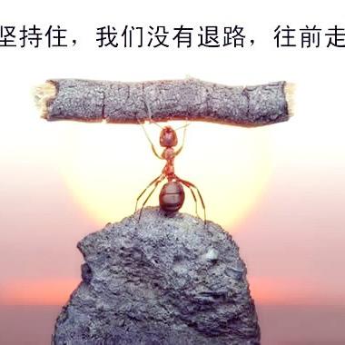 ～从零开始