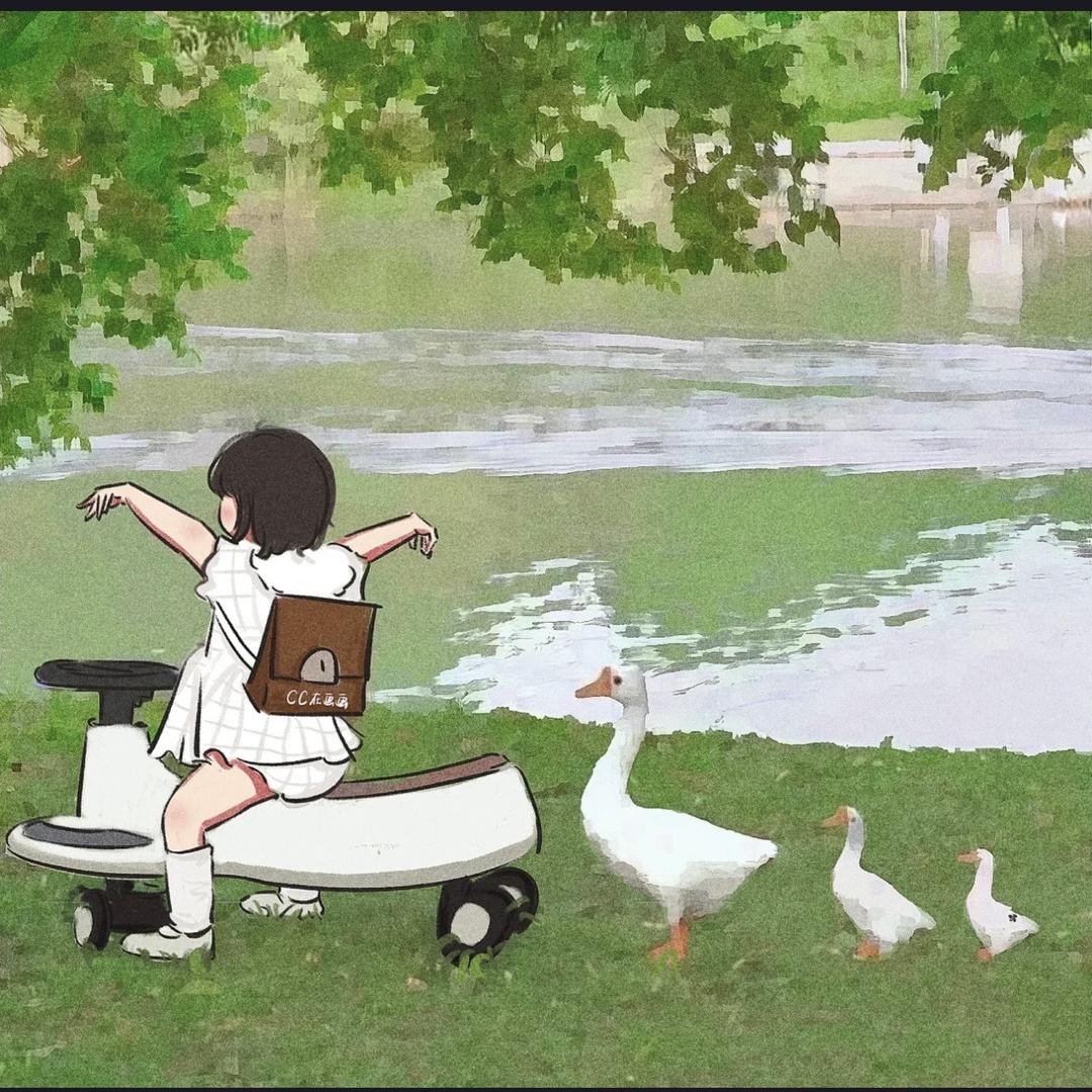 tt向上🚩