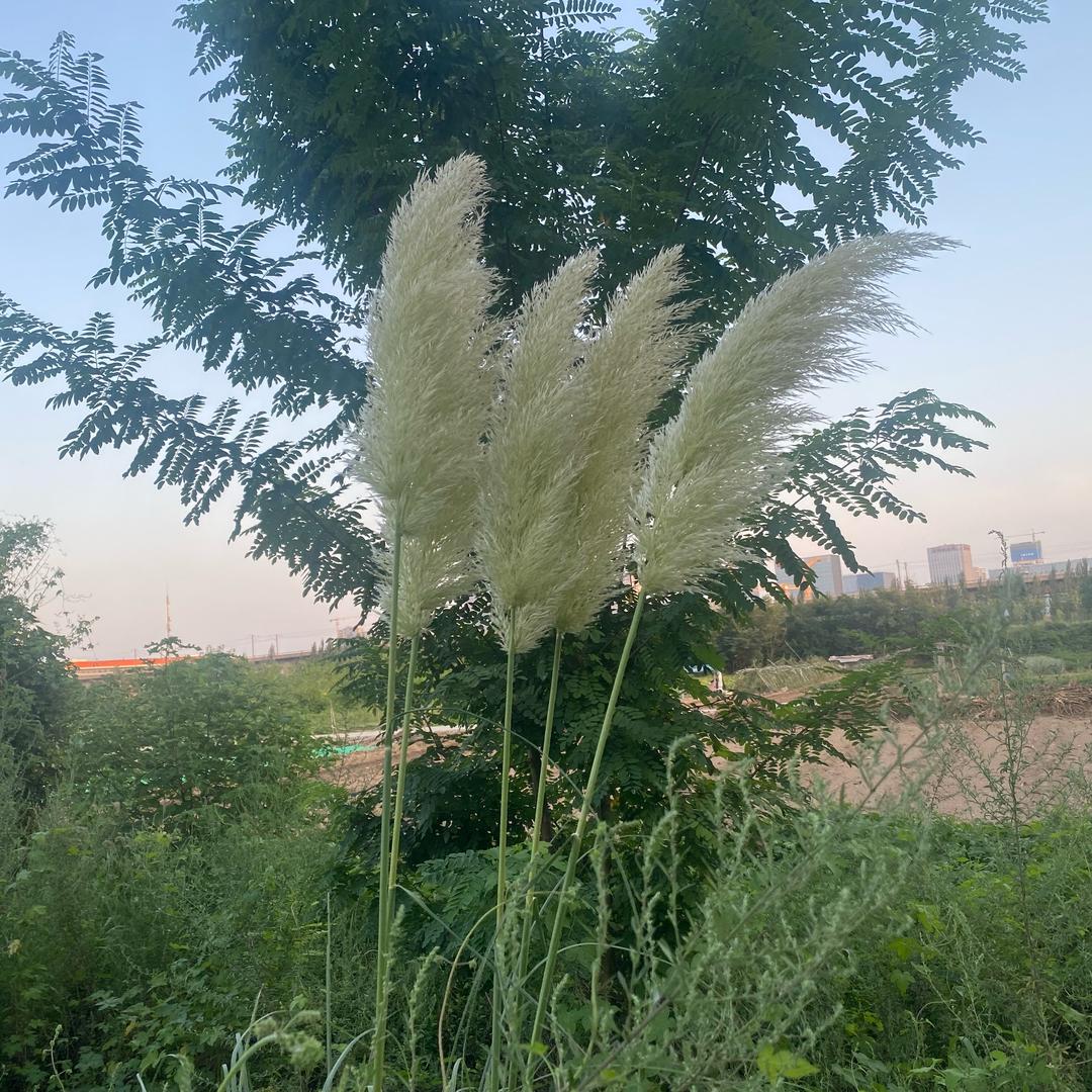 阳光🇨🇳