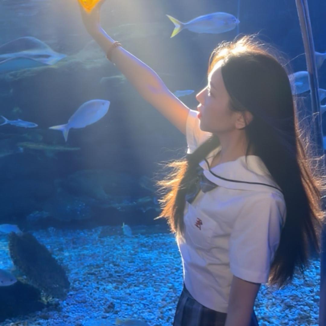 夏夏xxs🎆（杭城小师赛）