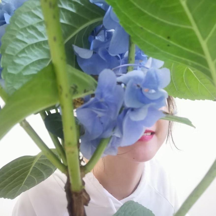 树枝的疏忽