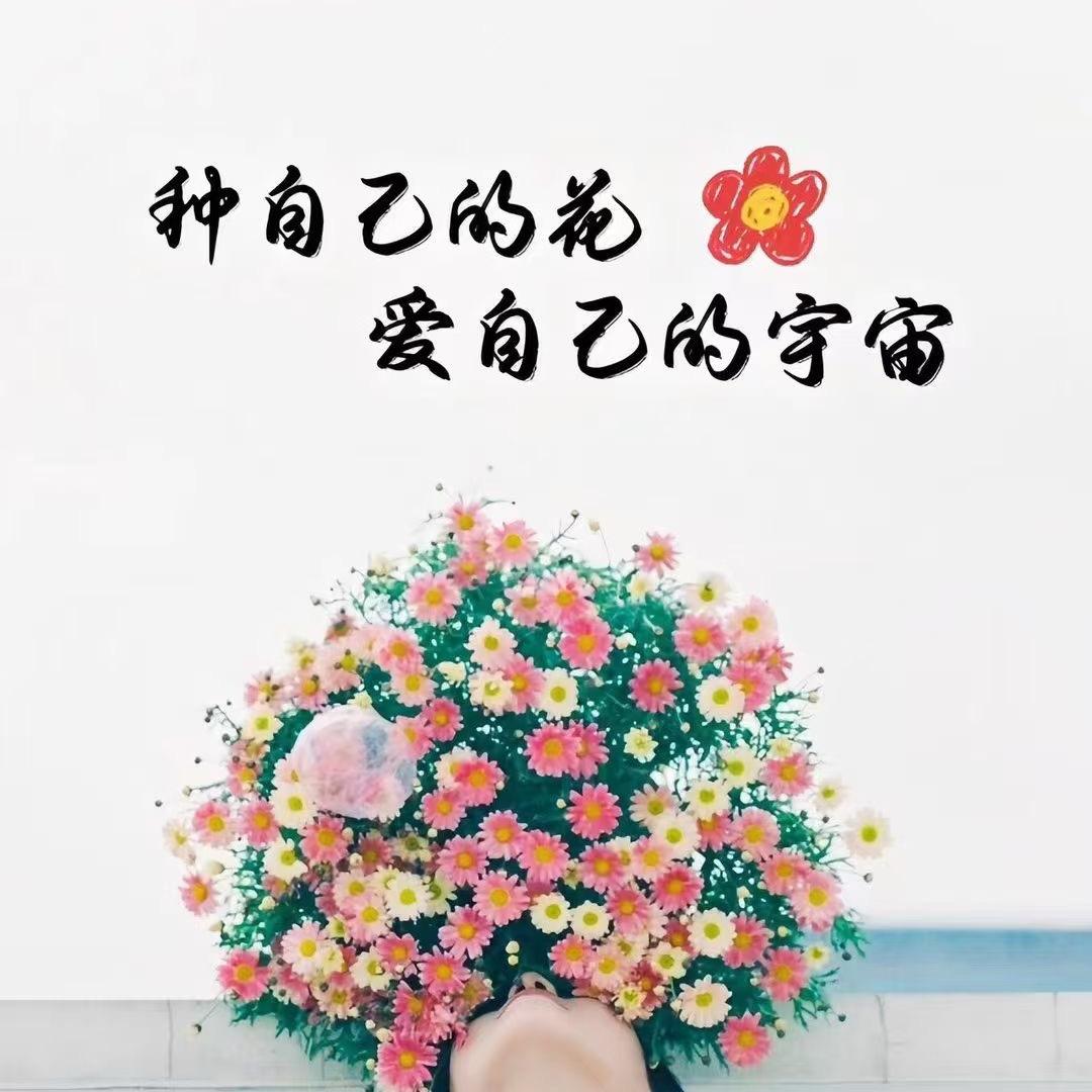 @猫的罐头鱼