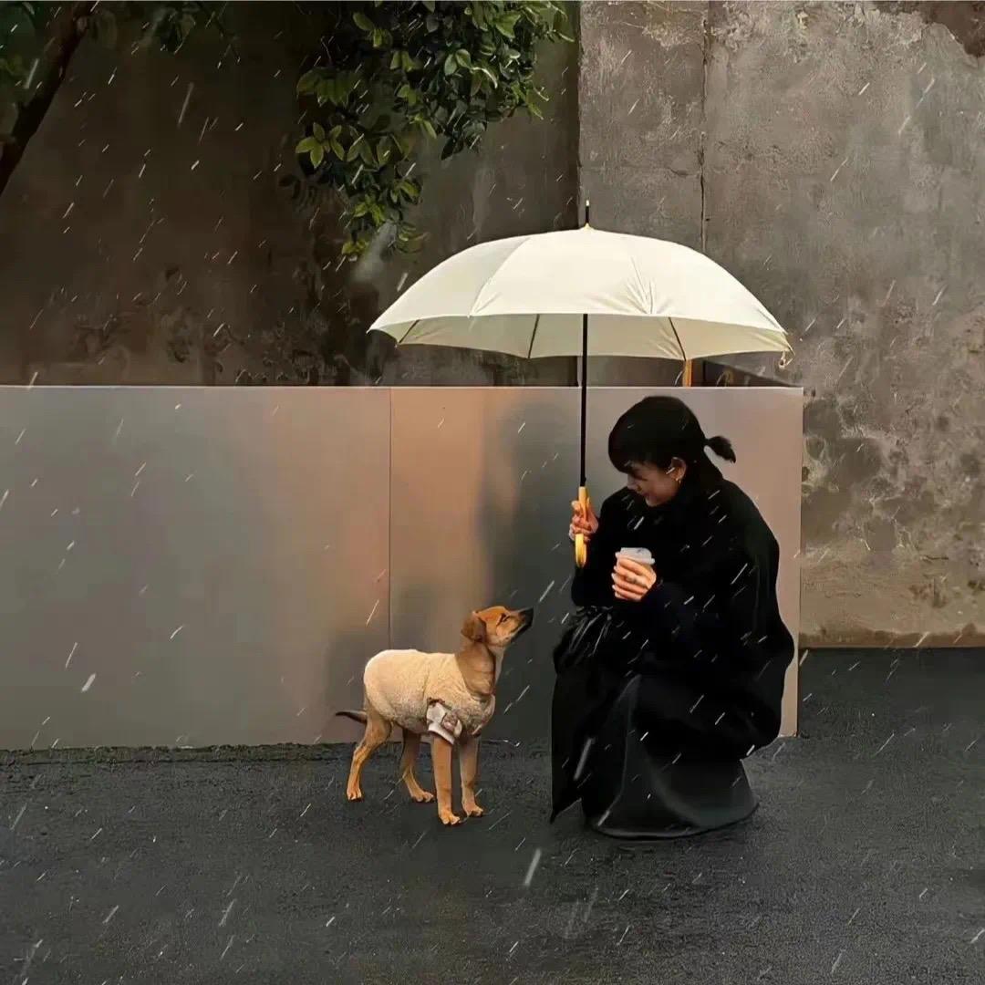 泥巴o