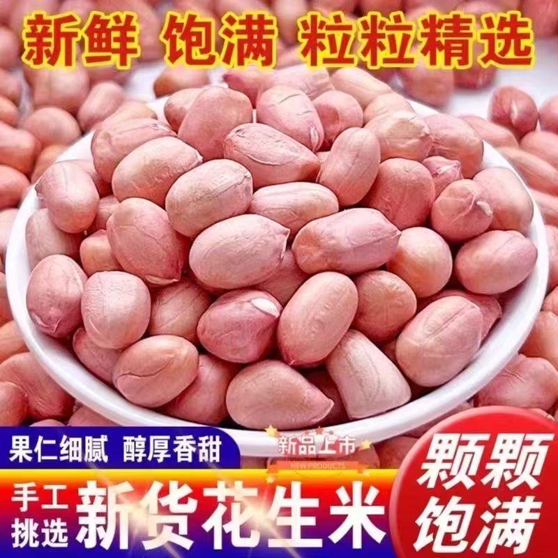 花生米之家