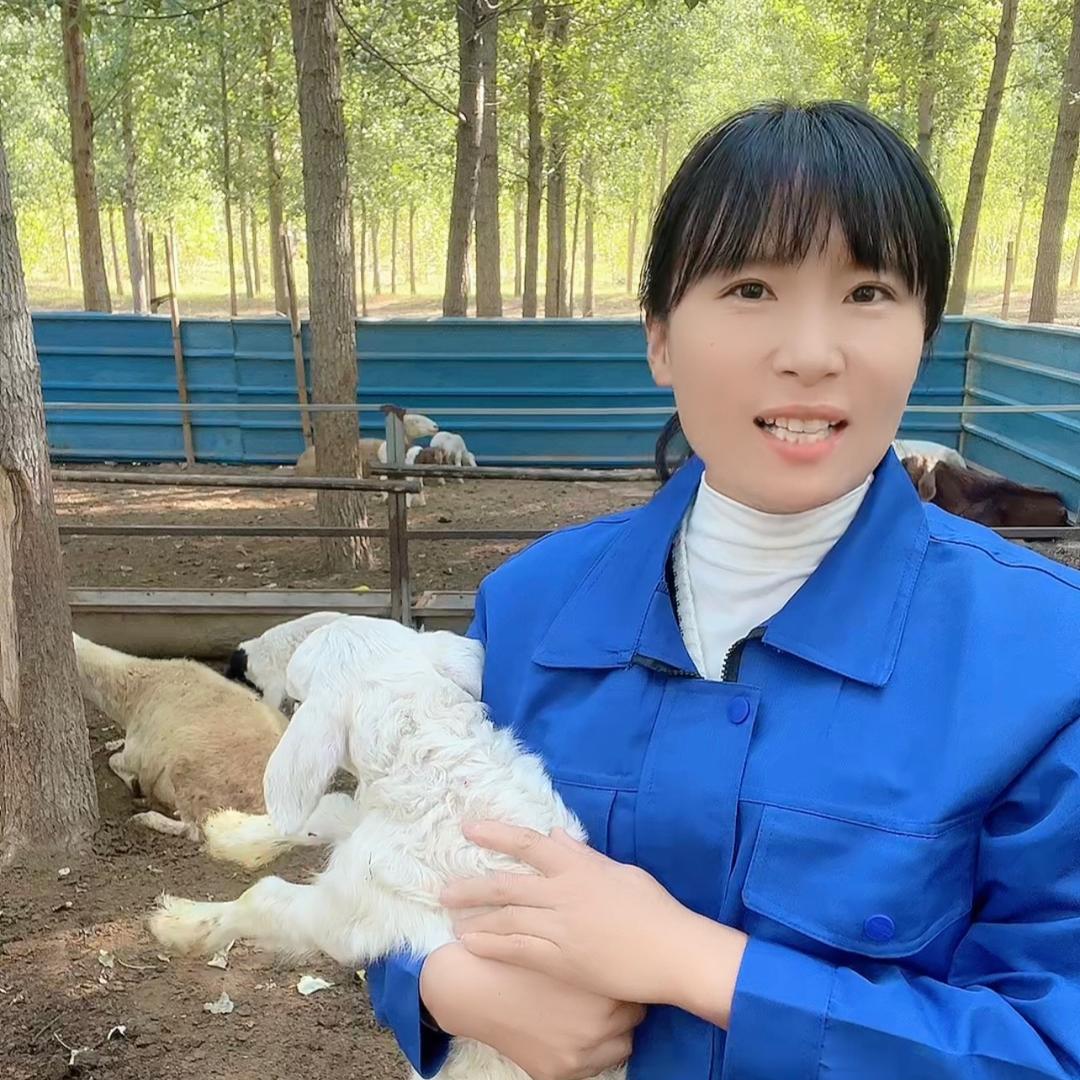 农村养羊人可可