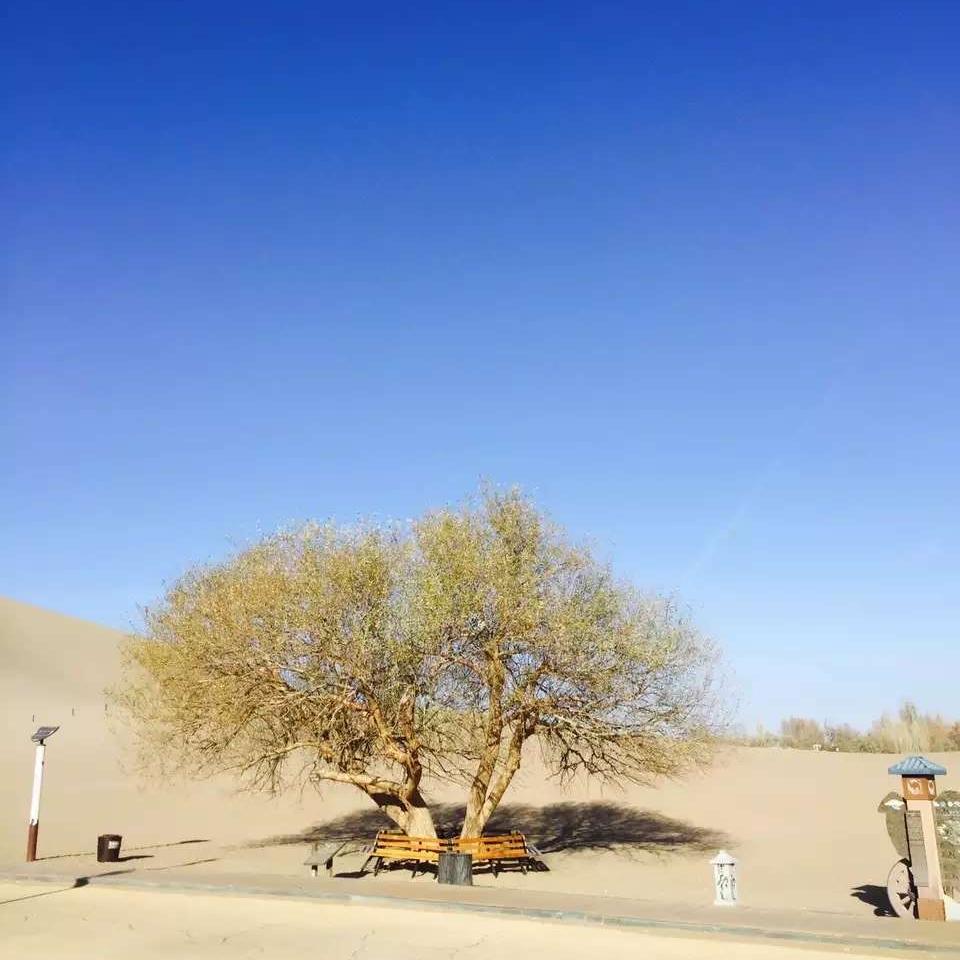 新岚母婴