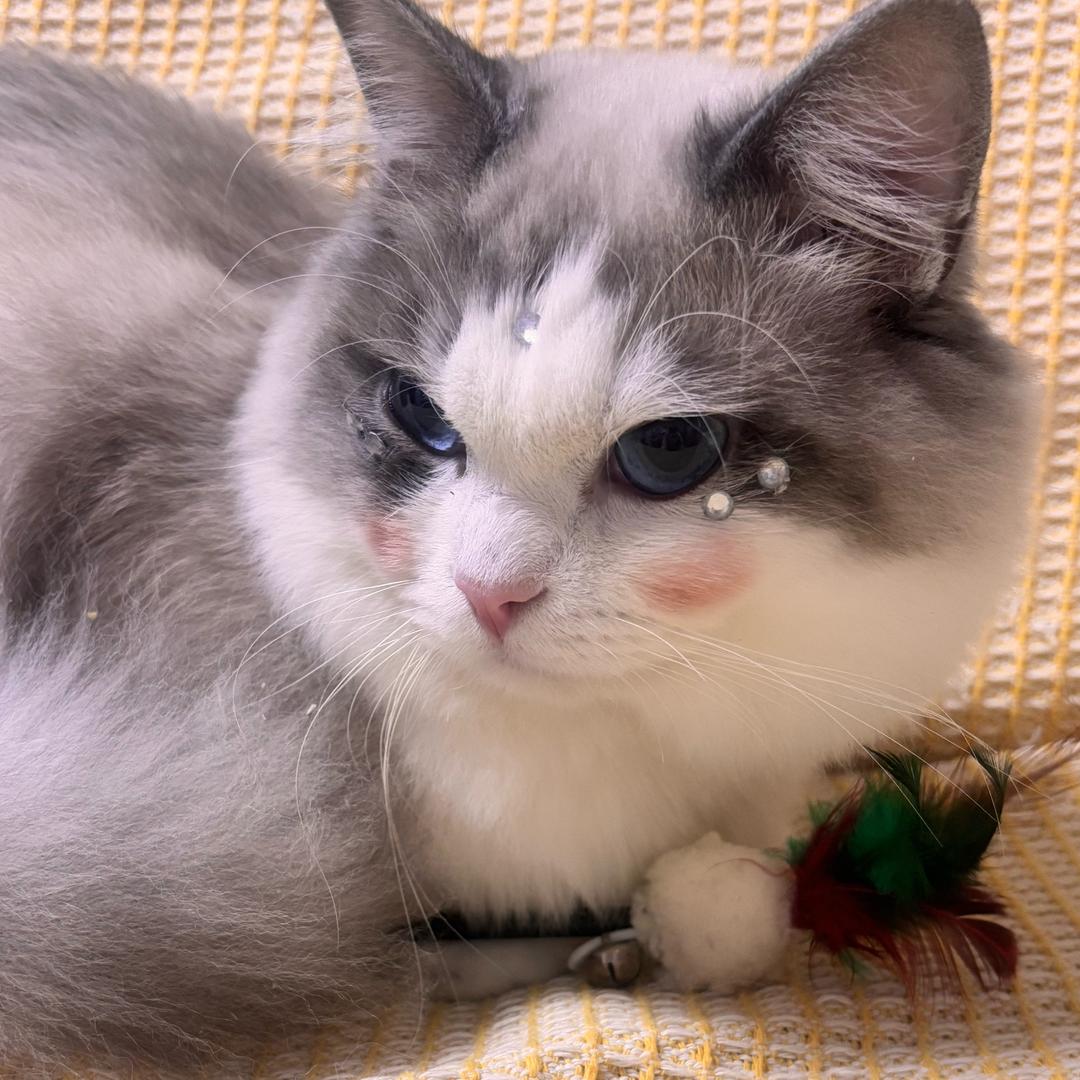 你看起来很好吃