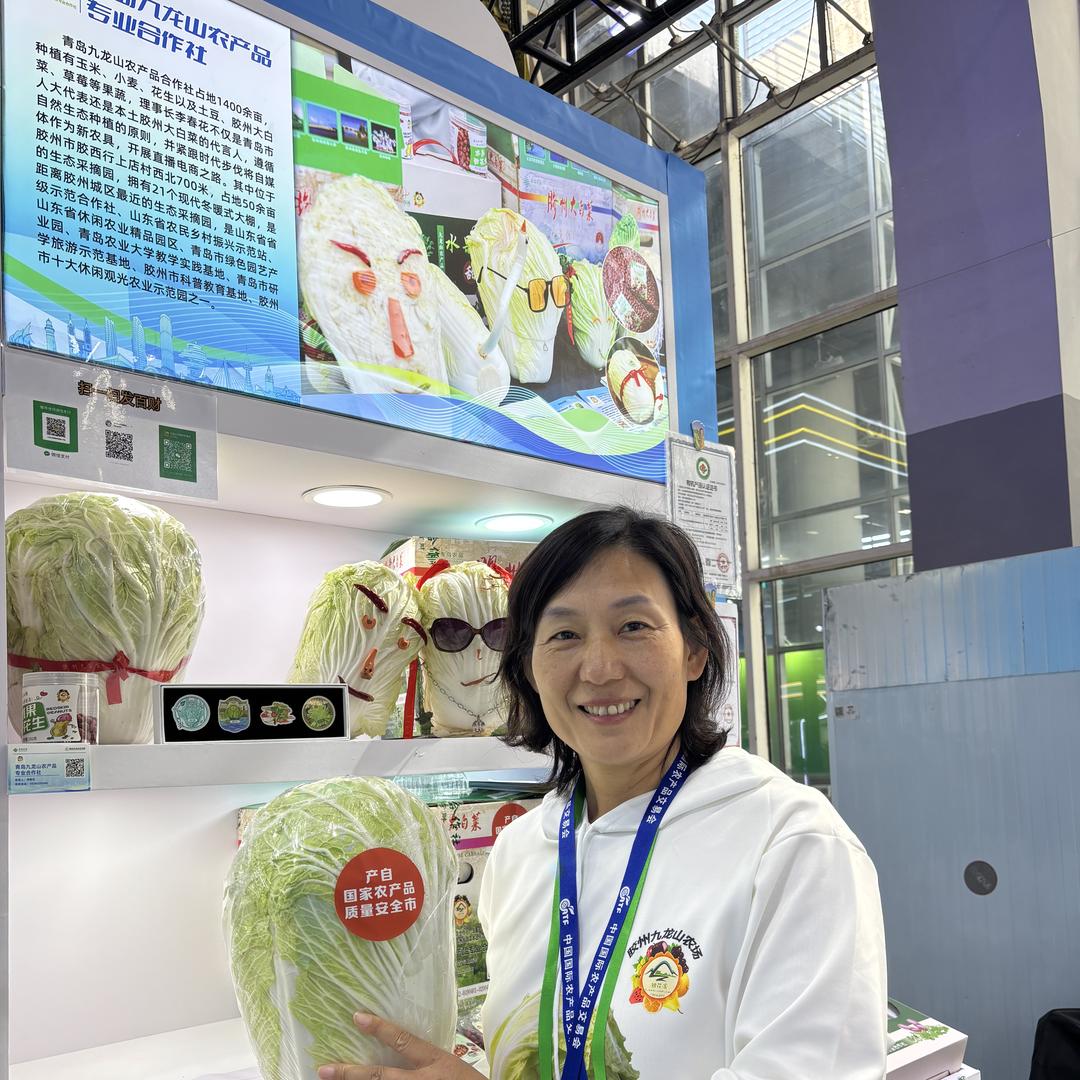 春花家的胶州大白菜