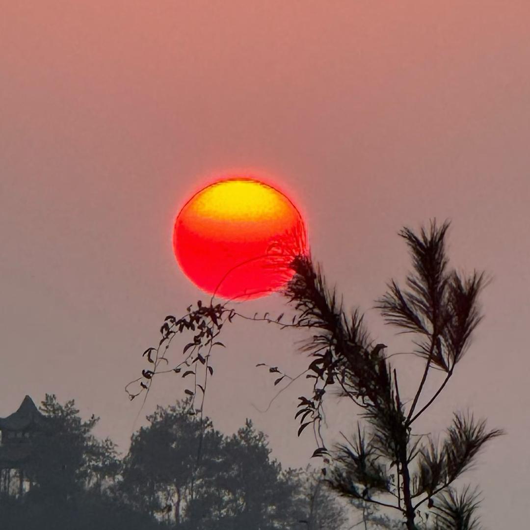 YC24小时健身【回关送次卡哦】