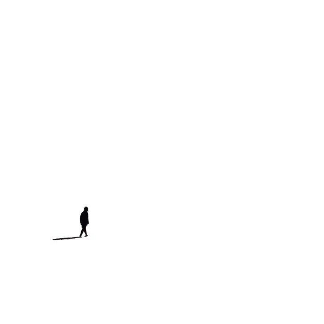 王 日 月