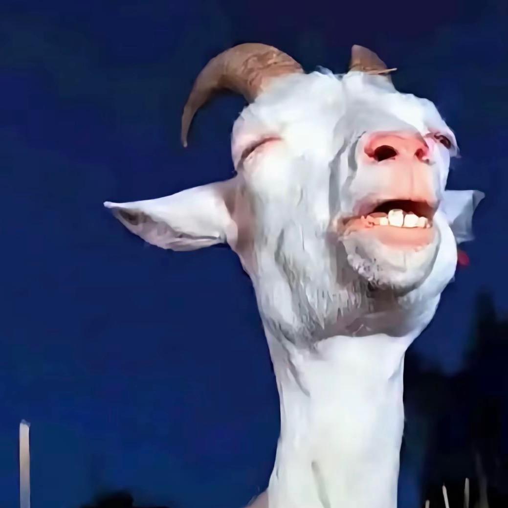 AW三两