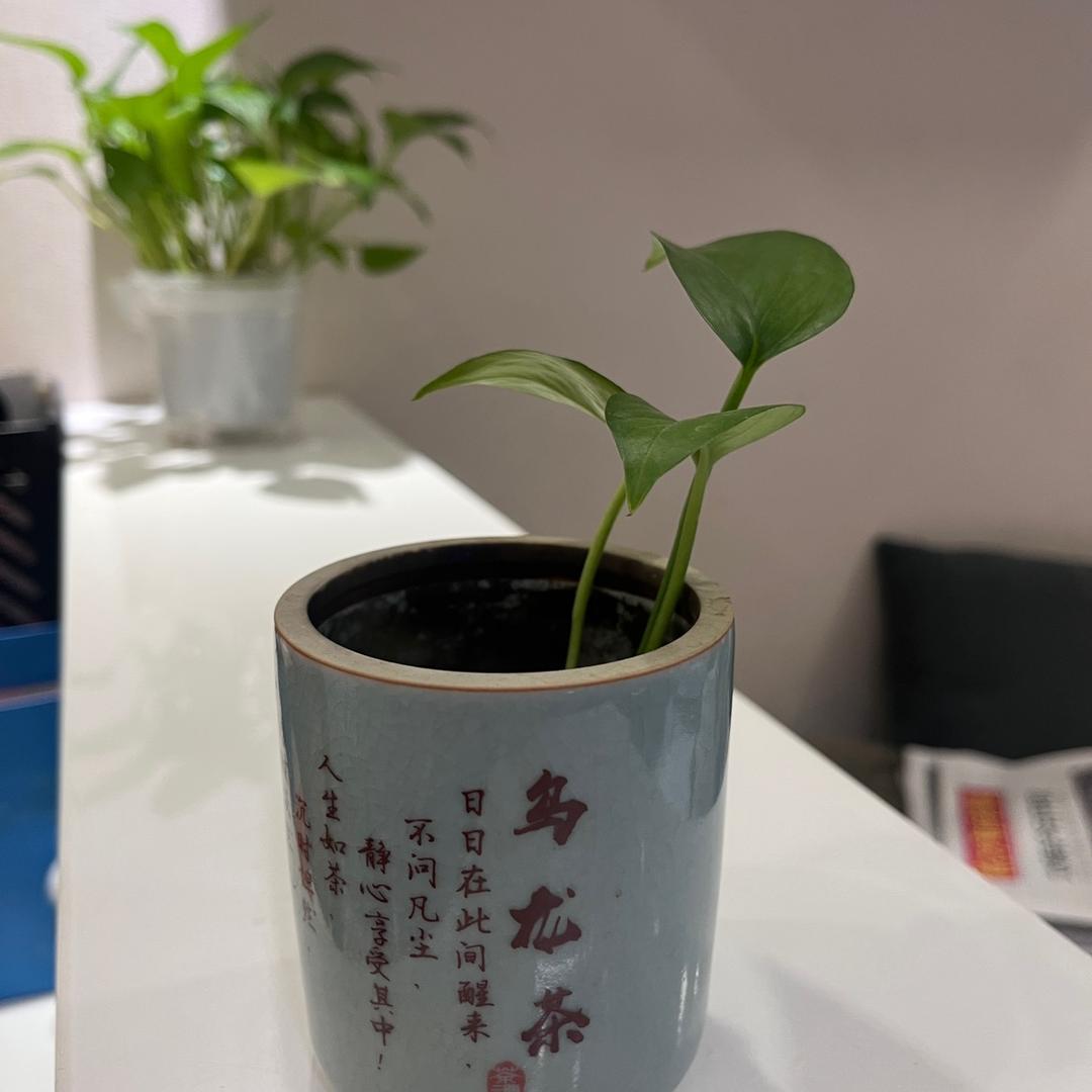 普通话不标准