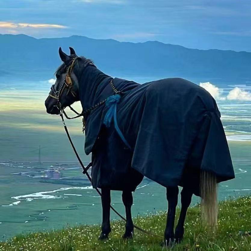 ༊་་་་་་་་་