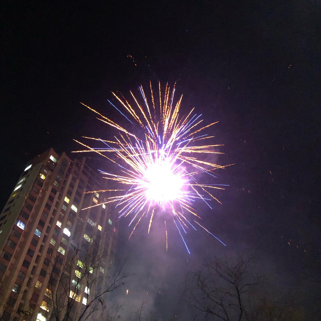 独飞