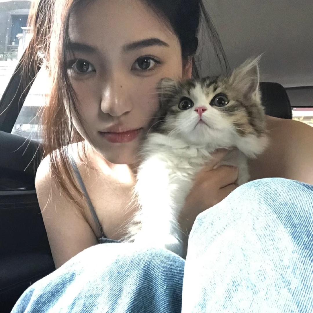 精灵..