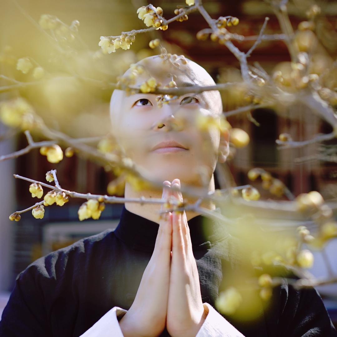 光头读书【知否版】@抖音