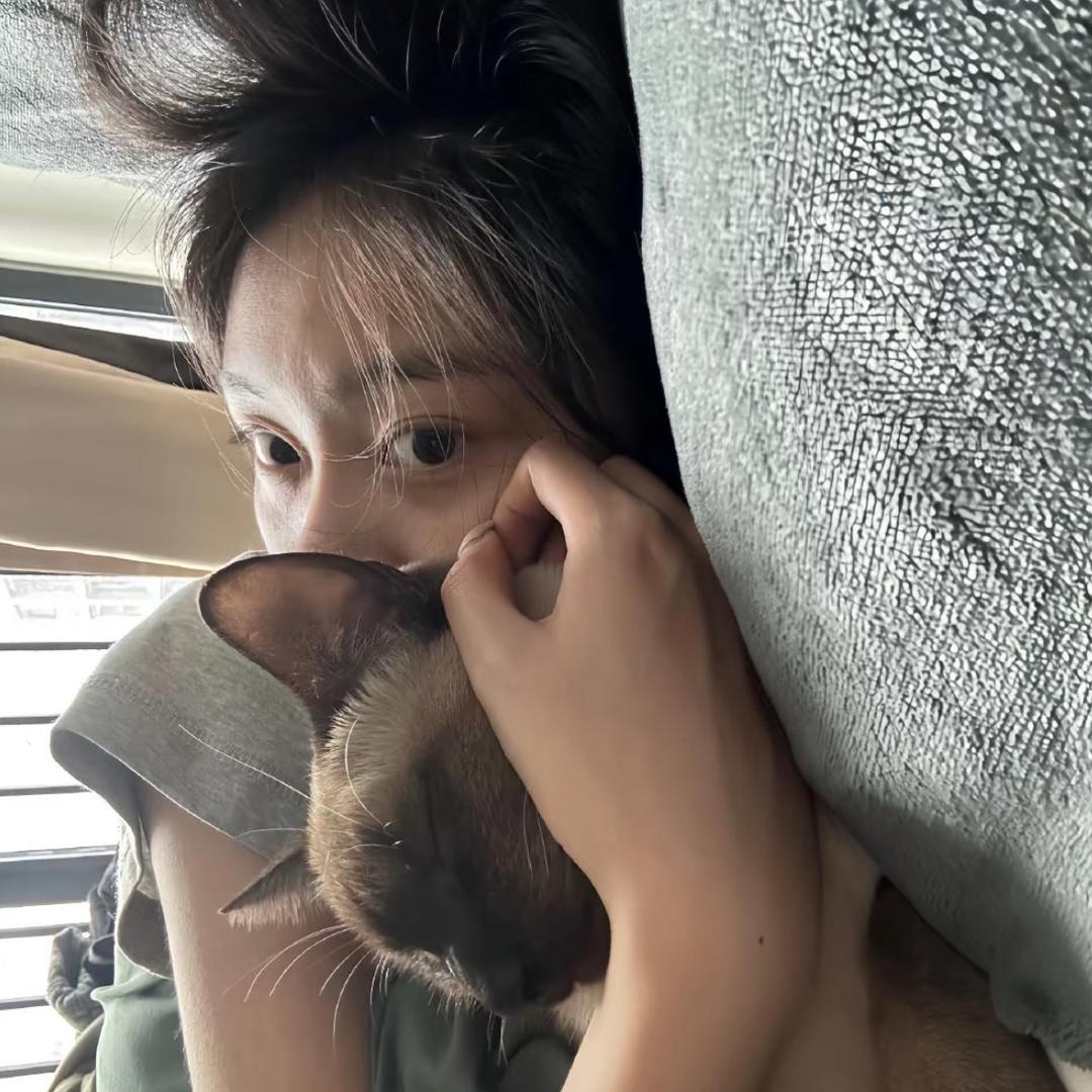小车哔哔^