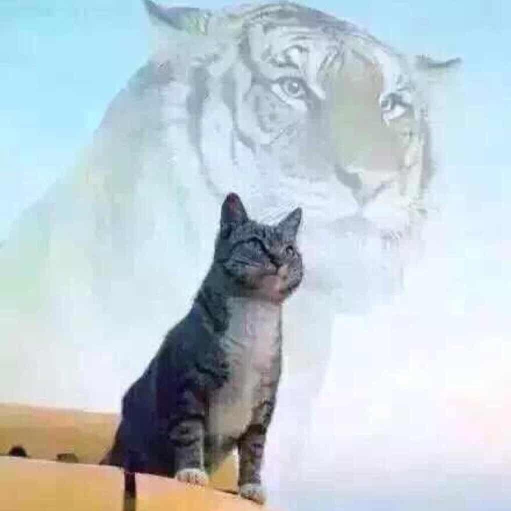 请叫我高帅