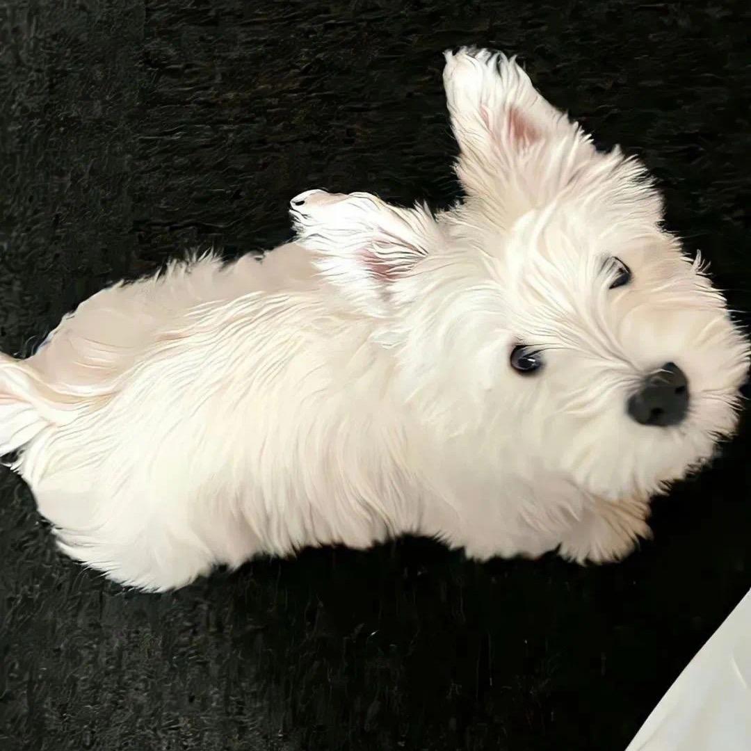 ❀