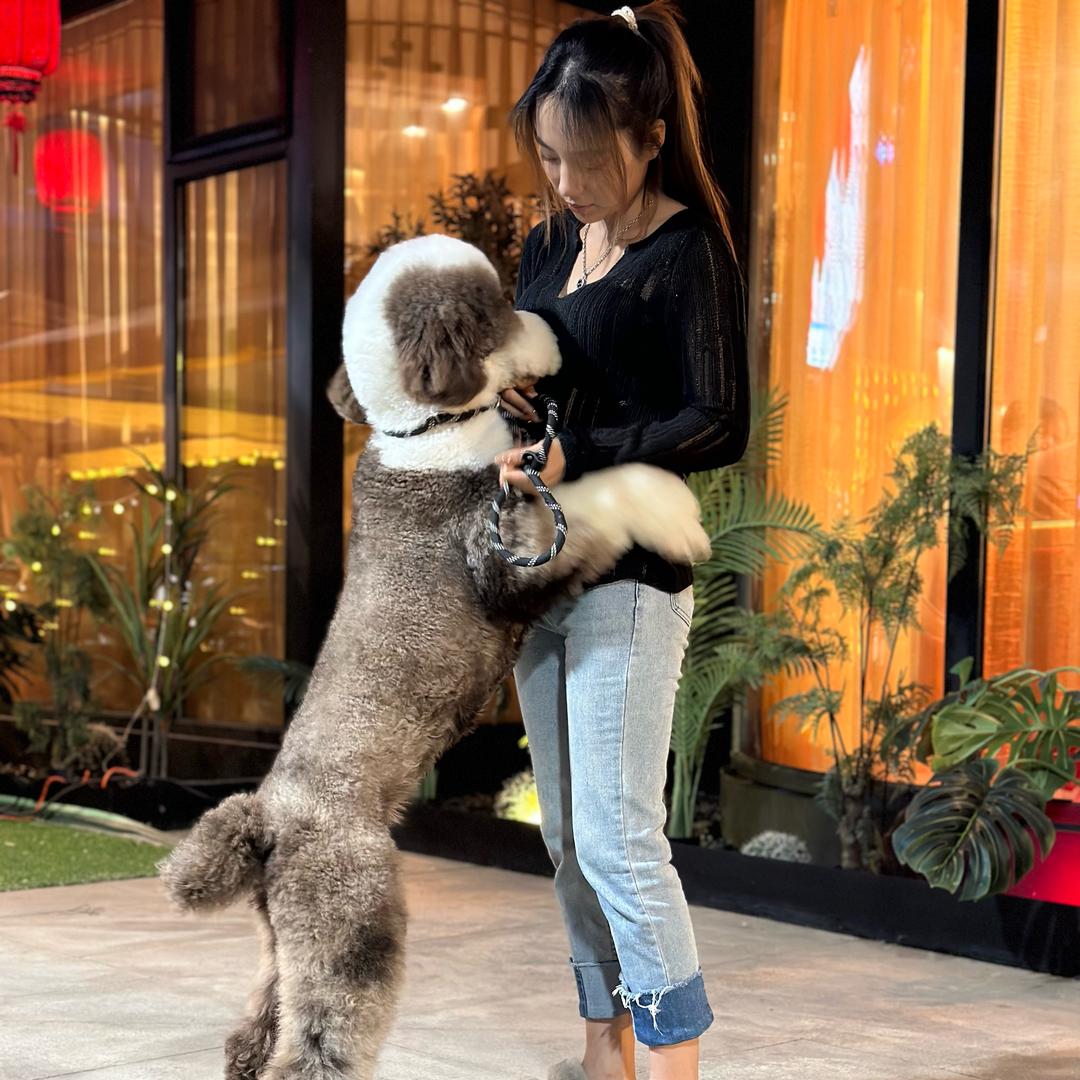 领航犬业（不贵的巨贵）