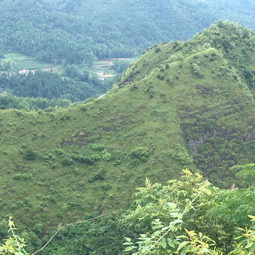 李糊涂