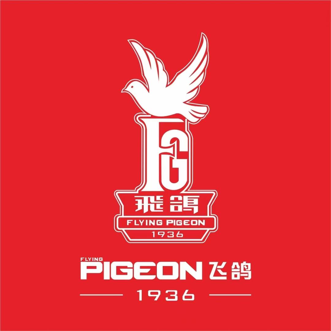 飞鸽S智能折叠电动车