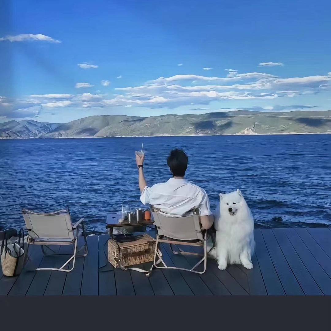 锦鲤锦鲤，