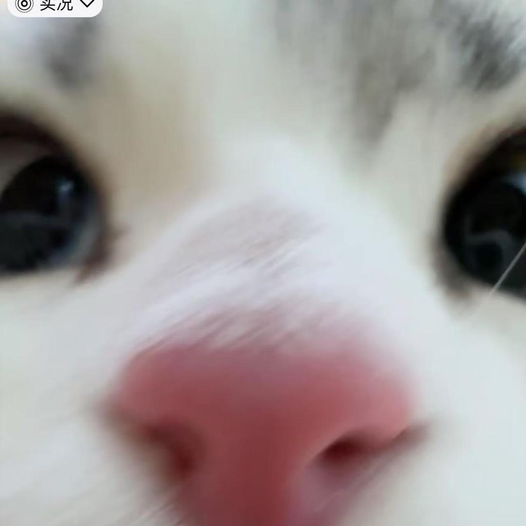 山竹