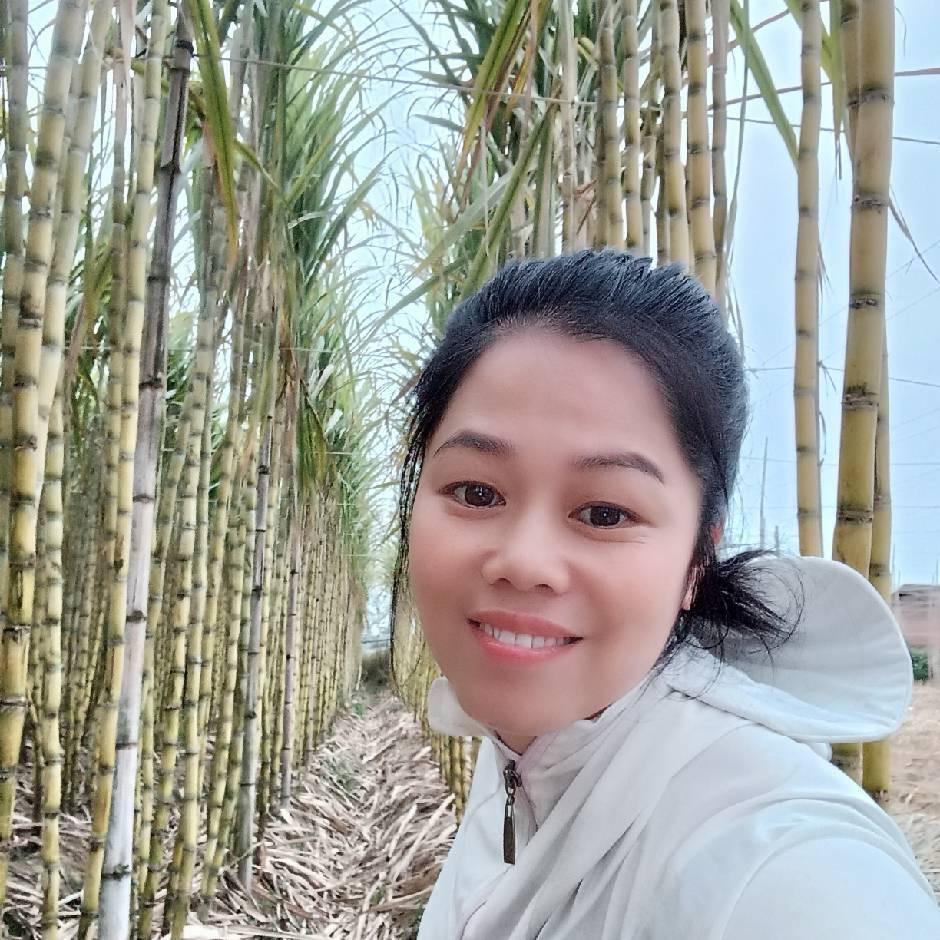 甘蔗一件代发（南英）