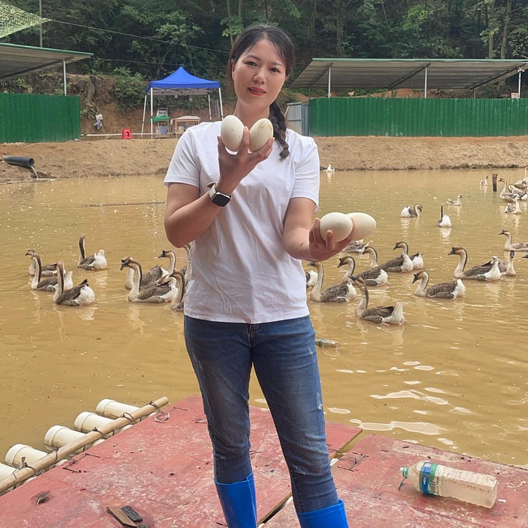 美美家的生态农场