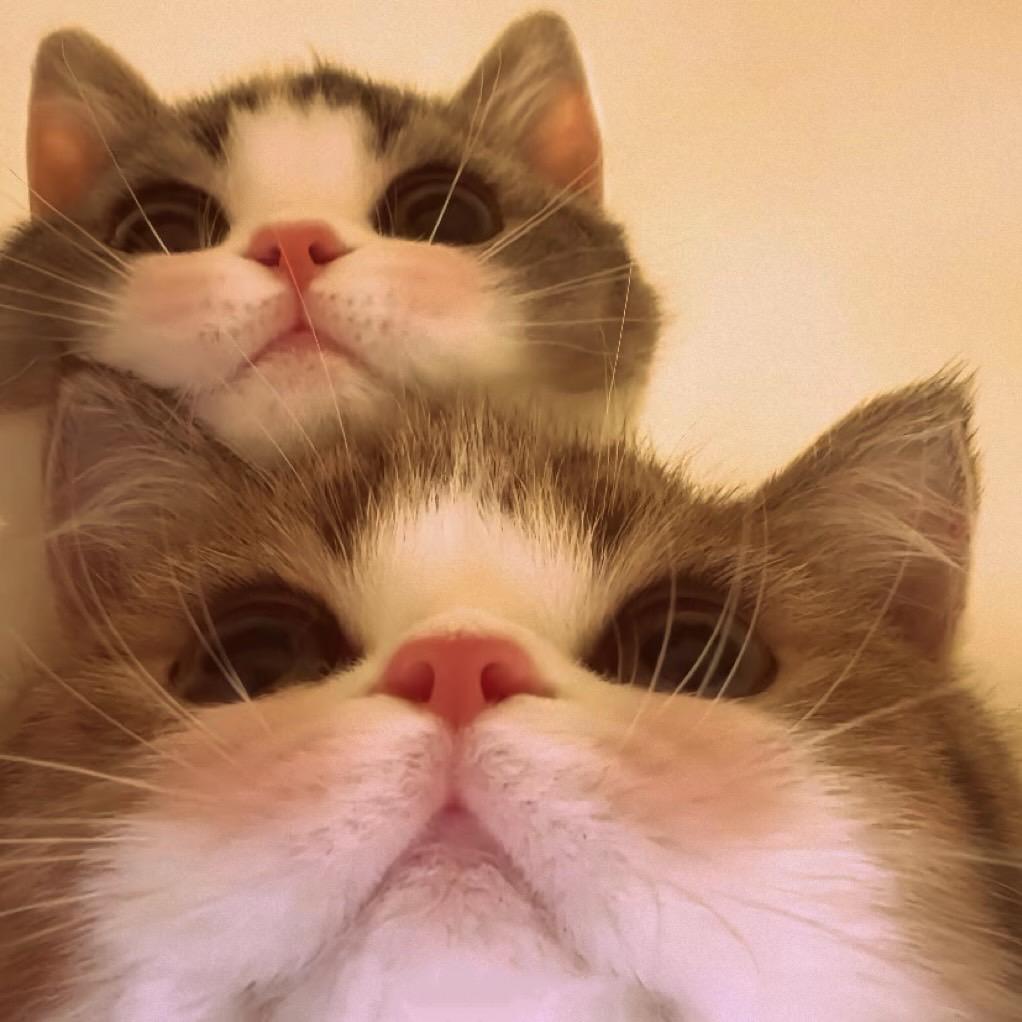 ▶  ıı|ıı| 8"