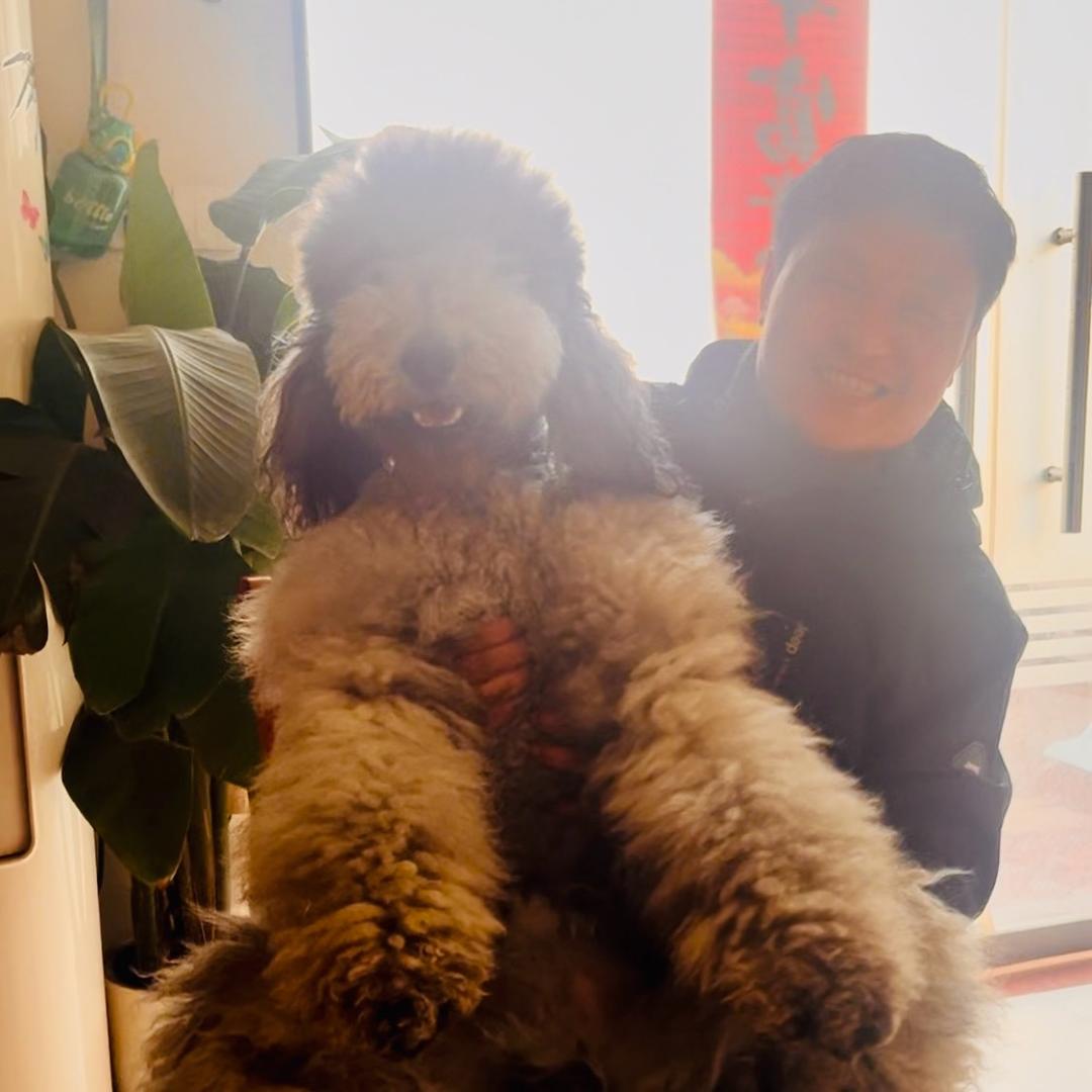 毛多多和毛很多