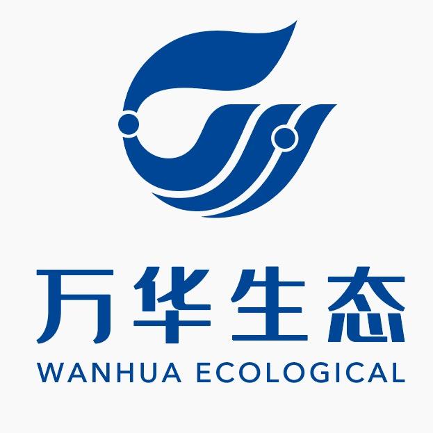 小俊哥绿色零醛整装
