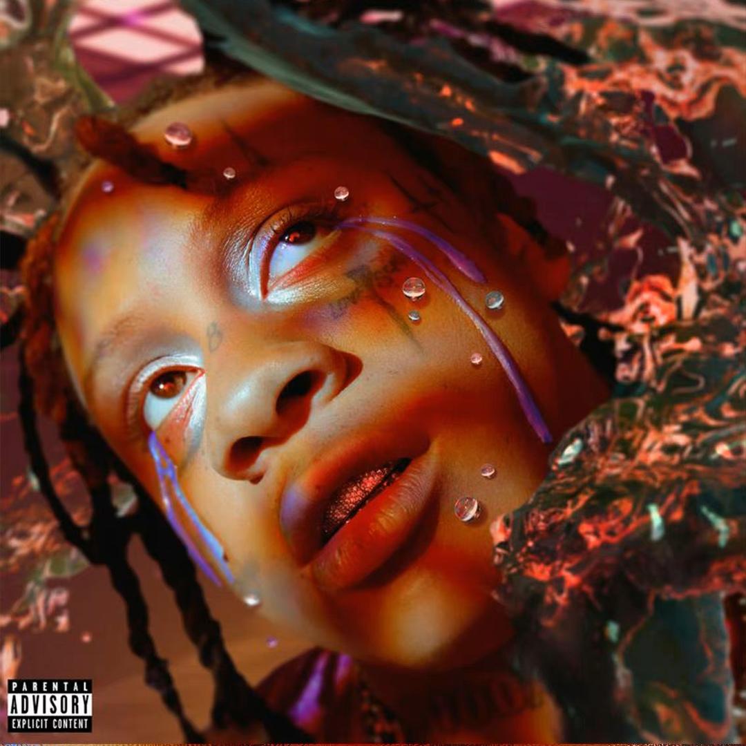 𝕱𝖊𝖒𝖆暗扣