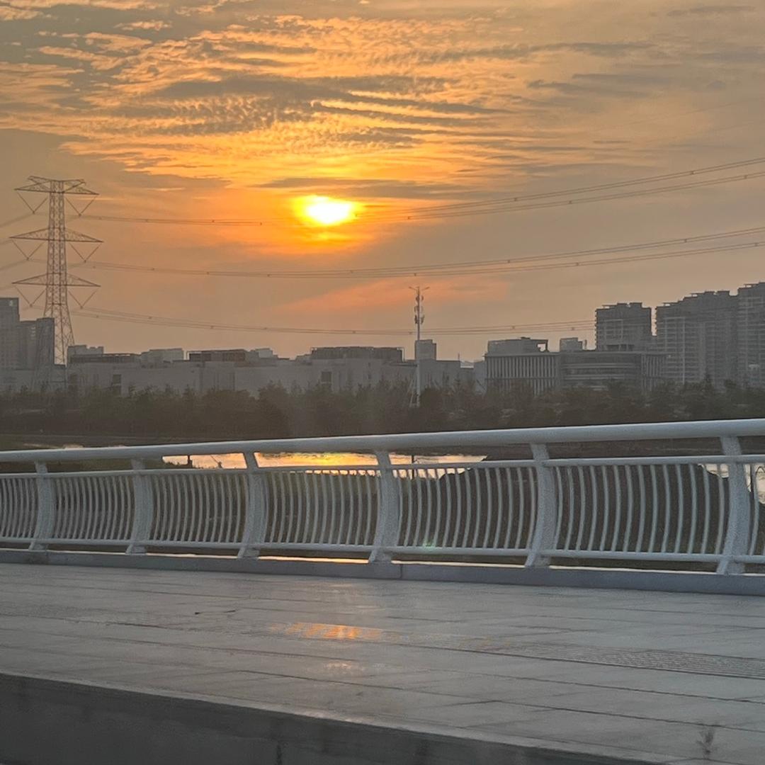 🌼开富贵