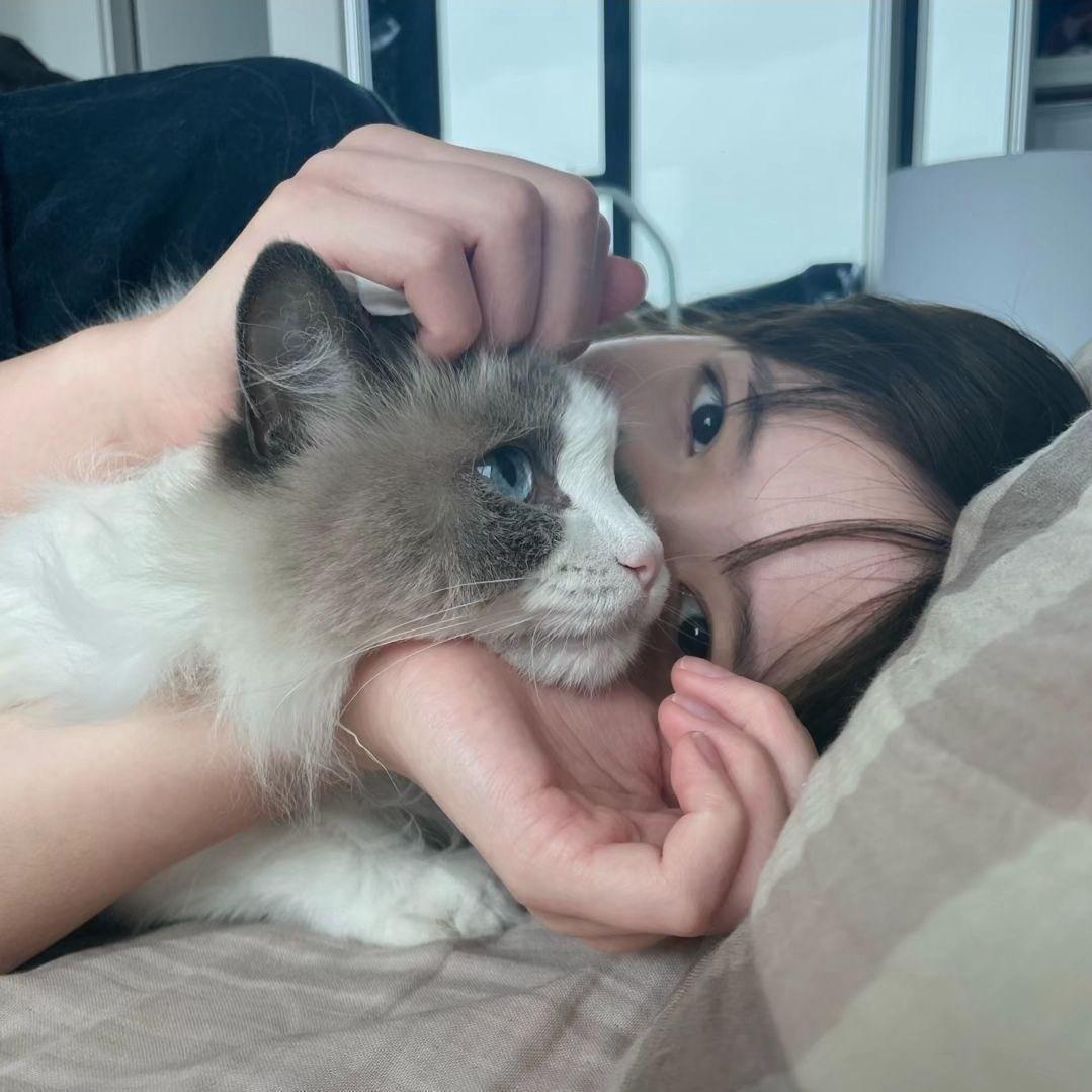 美伢