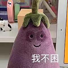 悲伤的猪大肠